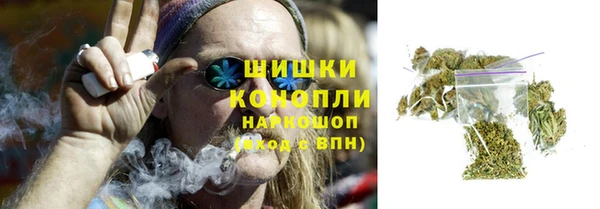 прущие грибы Белоозёрский