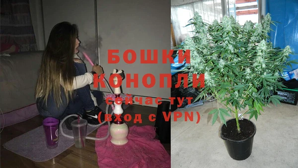 эйфоретик Беломорск