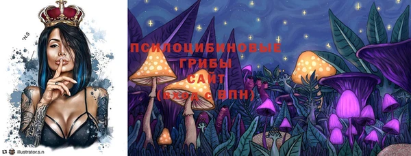 прущие грибы Белоозёрский
