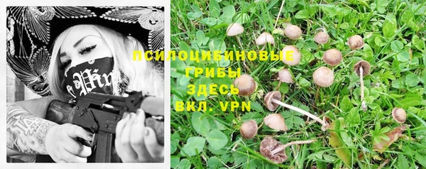 прущие грибы Белоозёрский